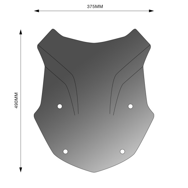 Parabrezza Aerosport per BMW R 1250GS (19-) - Barracuda