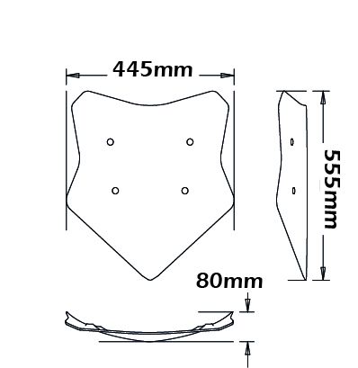 Cupolino tipo originale - altezza 555 mm per BMW S 1000 XR (15-19)