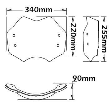 Cupolino basso per BMW R nineT (15-20)