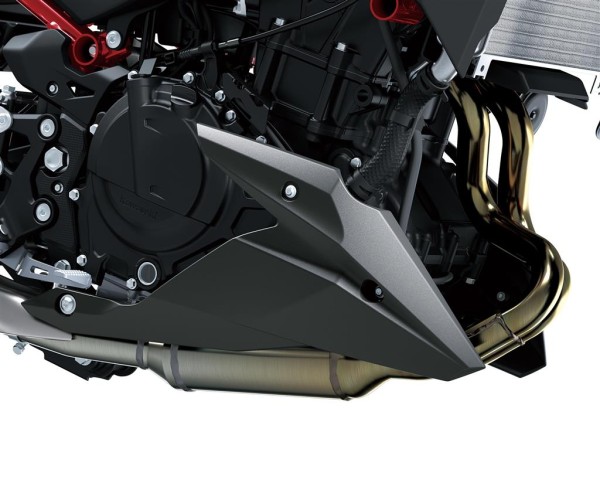 Spoiler anteriore per Kawasaki Z 500 (24-) Originale