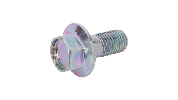 Vite del pignone M10 x 22 con collare, SW14