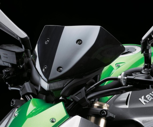 Parabrezza colorato Z1000 del 2014 Originale Kawasaki