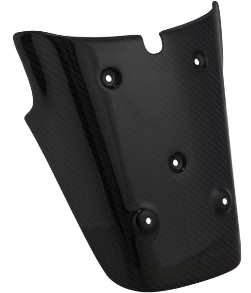 Portatarga posteriore per Vespa GTS/​GTS Super/​GTV 125-300ccm (-'13), carbonio