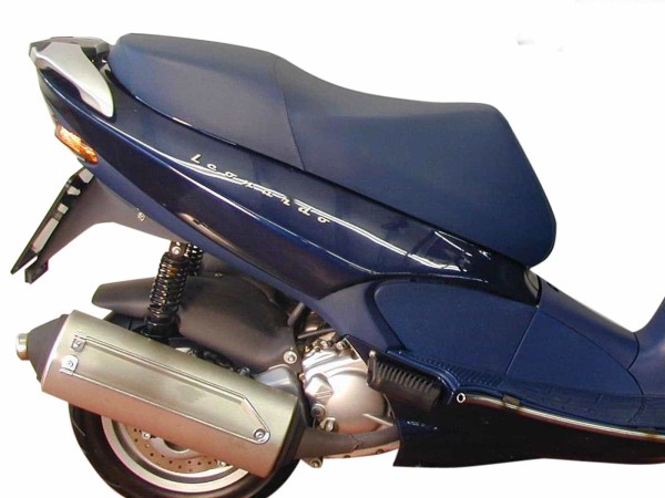 Portapacchi tubolare argento per Aprilia Leonardo 250 (99-01) Hepco & Becker