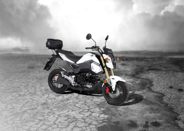 Portapacchi posteriore morbido Minirack nero per Honda MSX 125 /Grom (17-20) Hepco & Becker