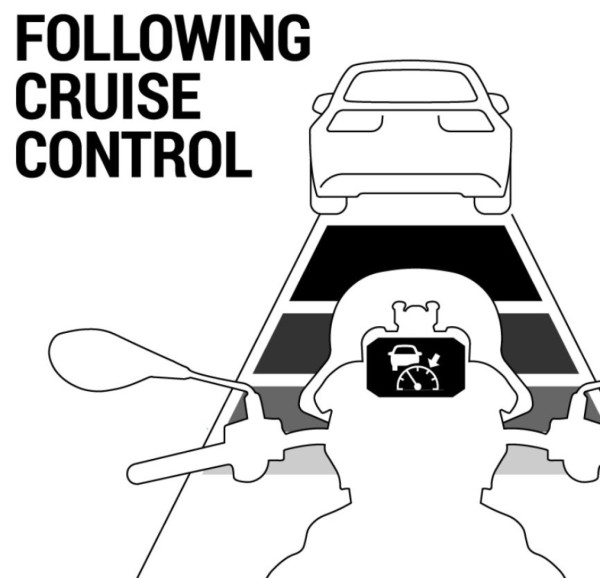 Distanziale per Moto Guzzi V100 Mandello S /Stelvio