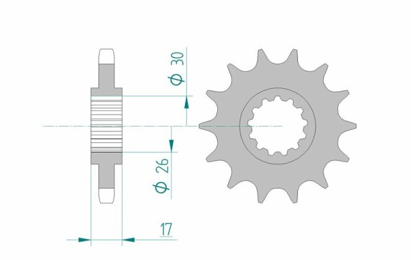 Pignone anteriore standard AFAM in acciaio 20603 - 530