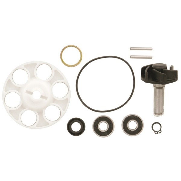Kit di riparazione della pompa dell'acqua V PARTS