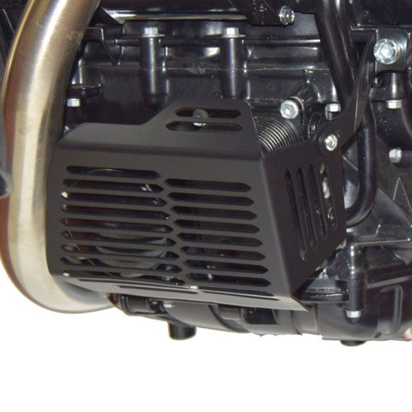 Protezione filtro olio per BMW F 700 GS (12-18), nero